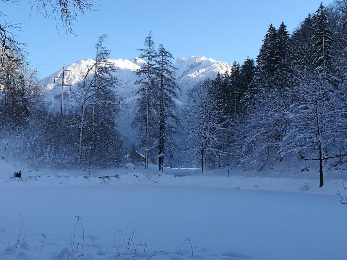 Hotel Adler Golling an der Salzach Dış mekan fotoğraf